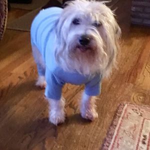 Meet your Posher, Leslie